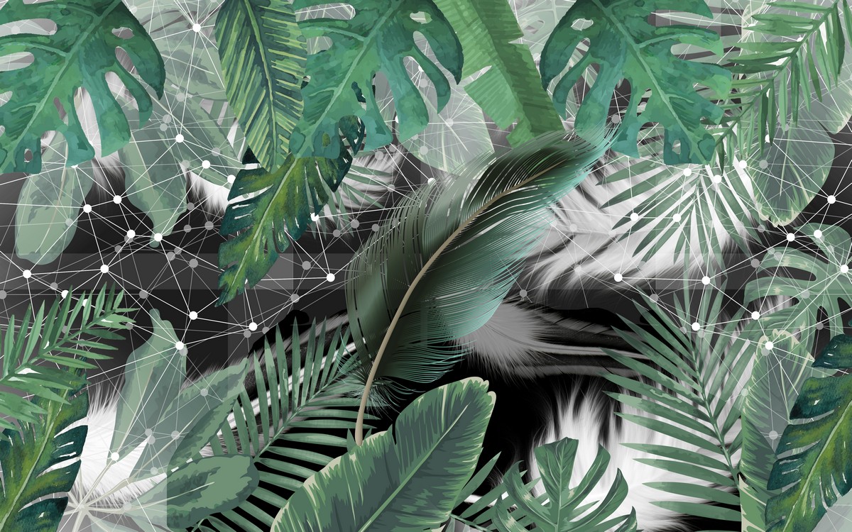 Тропические созвездия